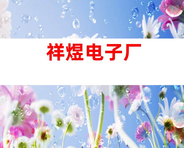 祥煜电子厂